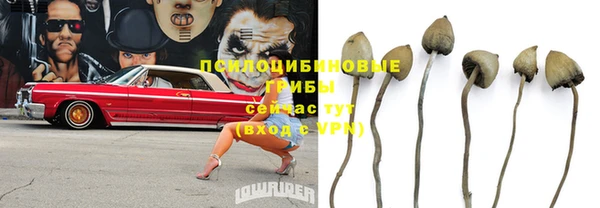гашишное масло Лабытнанги