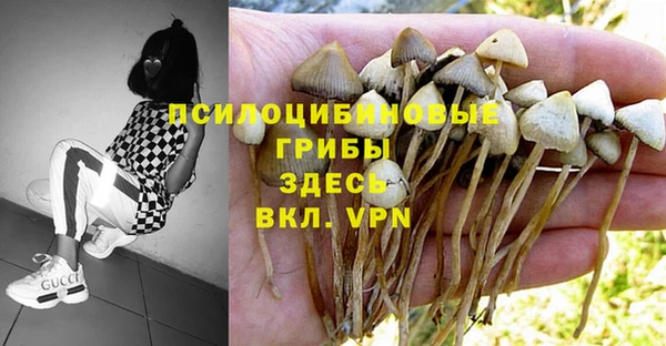 кристаллы Ладушкин